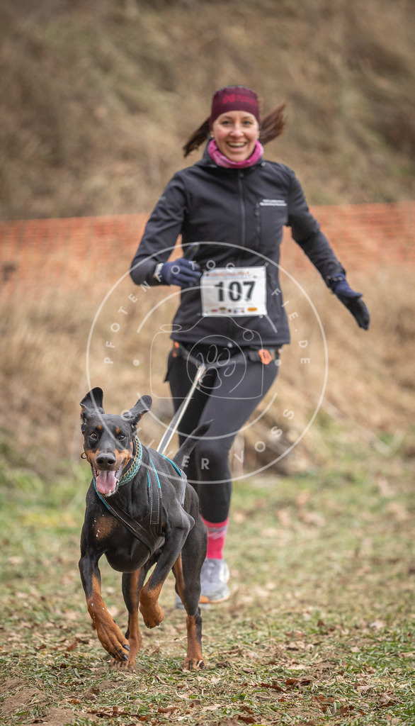 Pfotenfotografie_DV3A7500 | Hundefotografie, Tierfotograf, Pfotenfotografie, Fotoshooting Hund, Hunde Portrait, Hundesport, Hundeportraits, Heideshooting, Hunde, Sportfotograf, Hundefotograf, Turnierhundsport, THS,  - Realisiert mit Pictrs.com