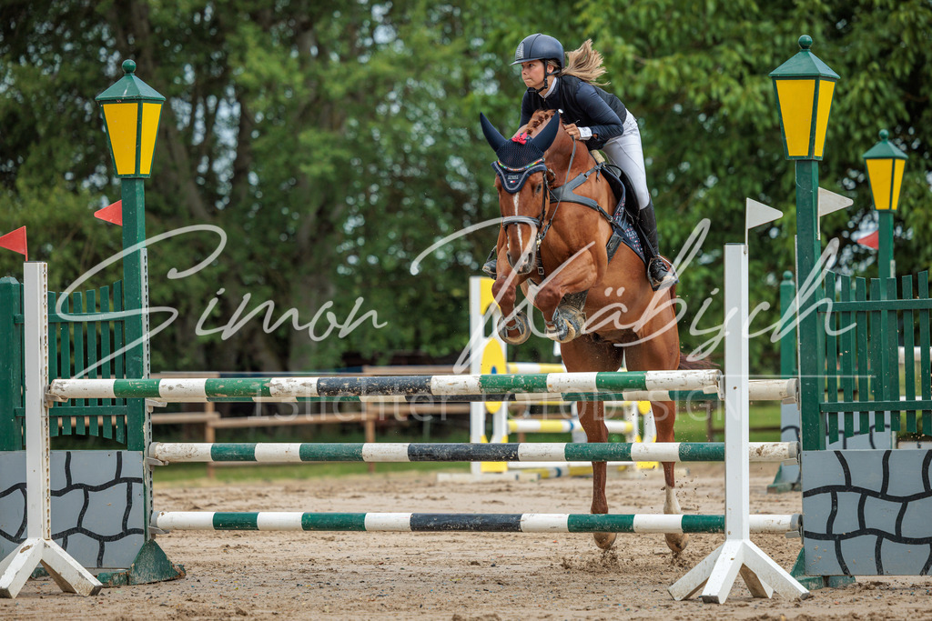 20260530-_3LI2531 | Tierfotografie Pferde, Hunde, Katzen, Haustiere.
Turnierfotografie Reitturniere, Reiten, Springreiten, Dressur in Hanau, dem Main-Kinzig-Kreis und dem Rhein-Main- Gebiet um Frankfurt