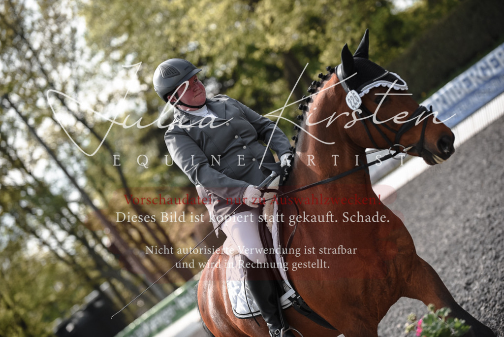 20230513_JK-Röhrsdorf-14-413 | Pferde- und Turnierfotografie in Westsachsen. Pferdeportraits, Auftragszeichnungen und intuitive Kunst.