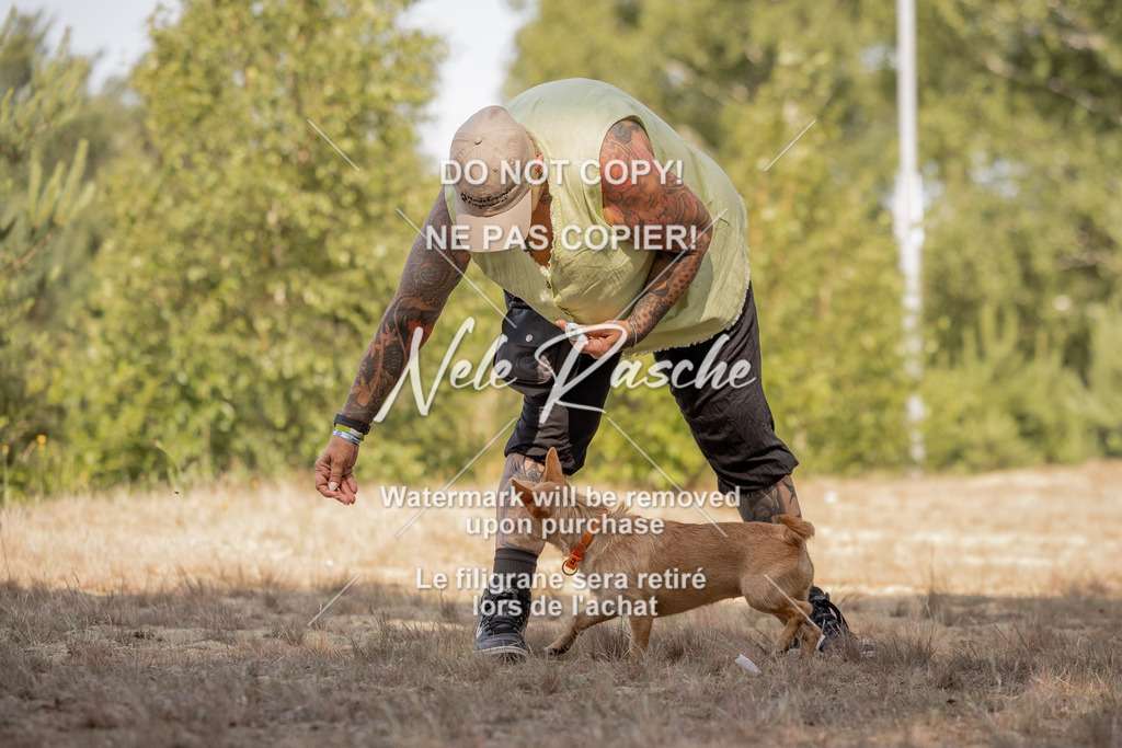 nelerasche_soDD2_48 | nelerasche