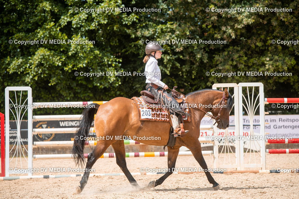 EWP_6645 | dv-media-shop - Realisiert mit Pictrs.com