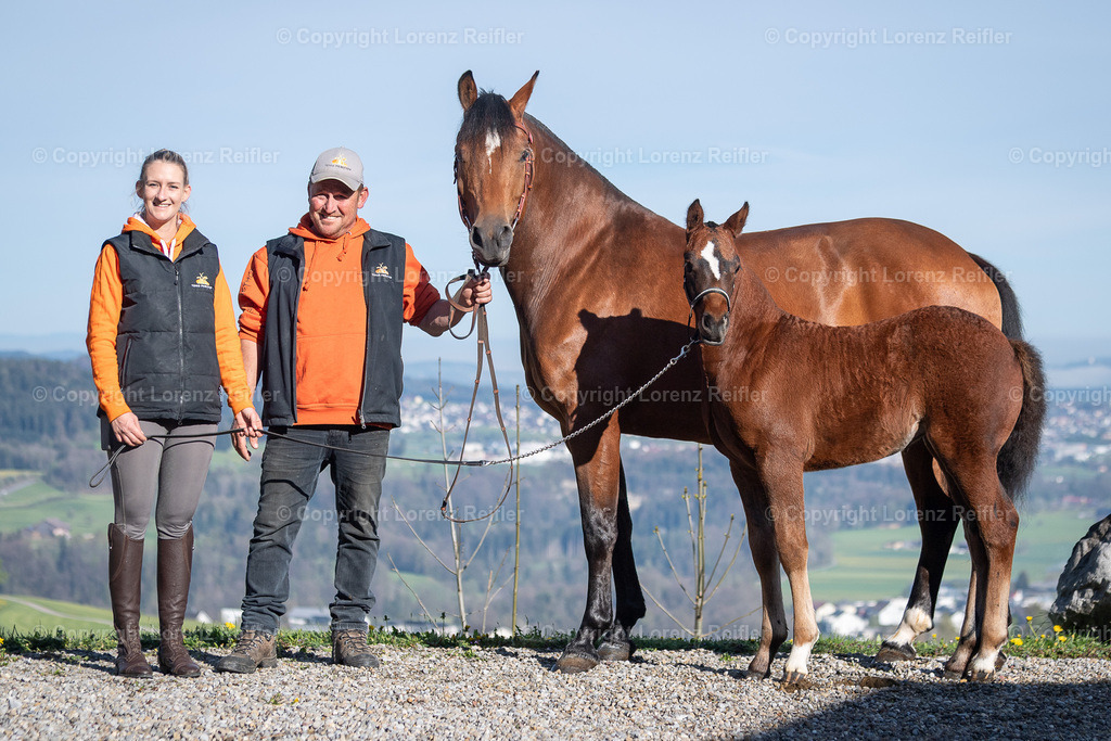 Schwingen -  Lebendpreise Schwägalp 2025 | Schwägalp, 19.4.25, Schwingen - Lebendpreise Schwägalp.