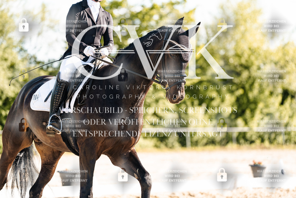 CK909957 | Turnierfotografie Pferdefotografie Trier Rheinland-Pfalz Pferdesport Reitsport Tierfotografie Sportfotografie Pferdevideo Pferdevideografie Equestrianvideography equestrianphotography  - Realisiert mit Pictrs.com
