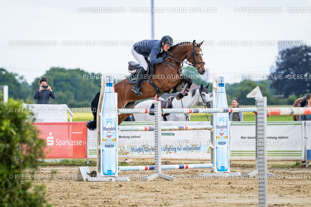 DSC07285 | Pferdegrafie