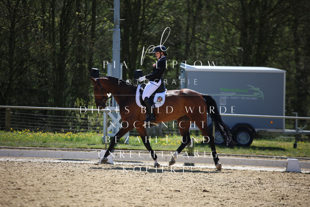 IMGT1128 | pl-fotografie