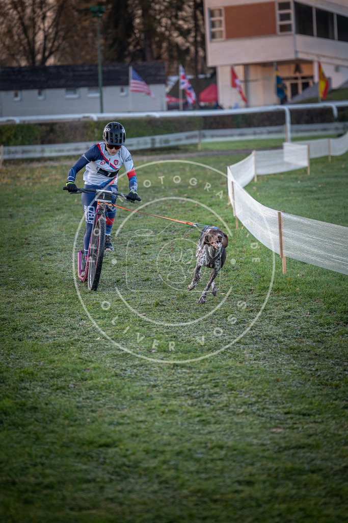 CaniXpix_0L8A0858 | Hundefotografie, Tierfotograf, Pfotenfotografie, Fotoshooting Hund, Hunde Portrait, Hundesport, Hundeportraits, Heideshooting, Hunde, Sportfotograf, Hundefotograf, Turnierhundsport, THS,  - Realisiert mit Pictrs.com
