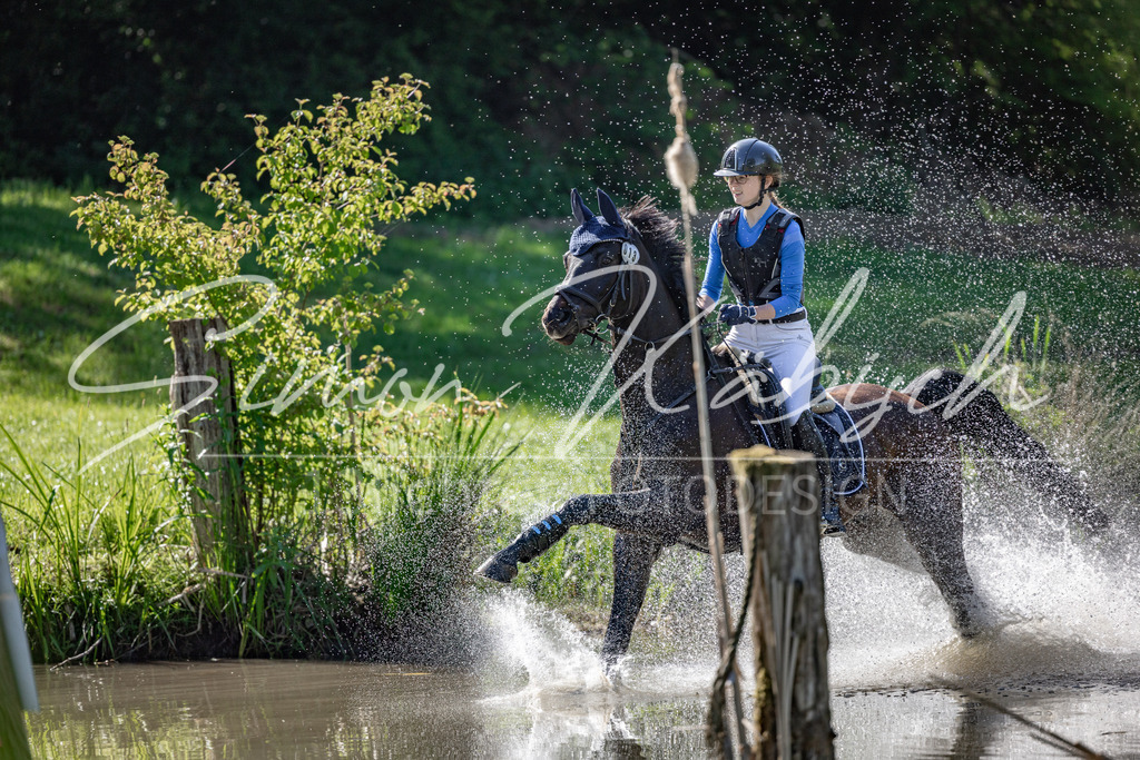 20260523-_3LI6741 | Tierfotografie Pferde, Hunde, Katzen, Haustiere.
Turnierfotografie Reitturniere, Reiten, Springreiten, Dressur in Hanau, dem Main-Kinzig-Kreis und dem Rhein-Main- Gebiet um Frankfurt
