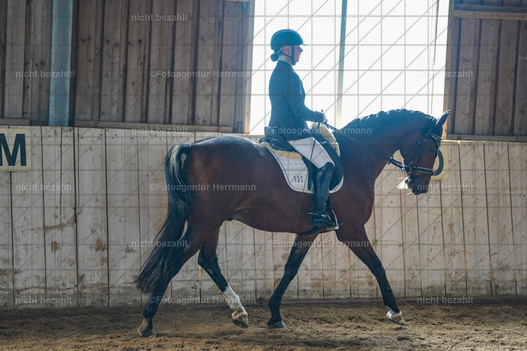 20230917-FAH09871 | Landsberg am Lech, 2023, Kaufbeuren, Kempten, Allgäu, Turnierfotografen Bayern, Fotoagentur Herrmann, Turnierbilder, Reitsport Fotos, Pferdefotograf, Augsburg, Bad Tölz, Dachau, Karlsfeld, Memmingen, Buchloe, Schwabmünchen