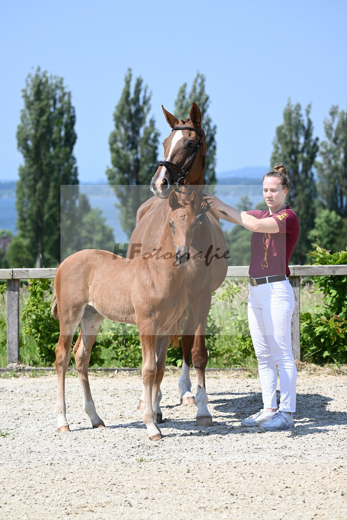Kat-Nr. 8 HF DSP Feliciano_Niedermair_15230162 | hf-fotografie - Realizzato con Pictrs.com