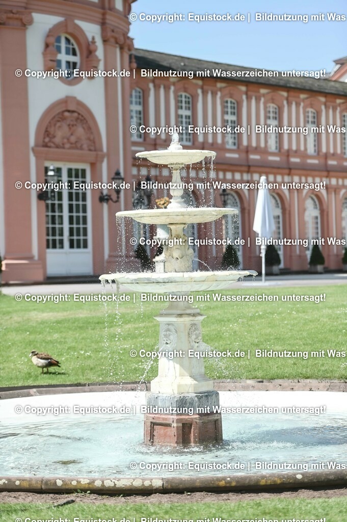 D78_2897 | equistock