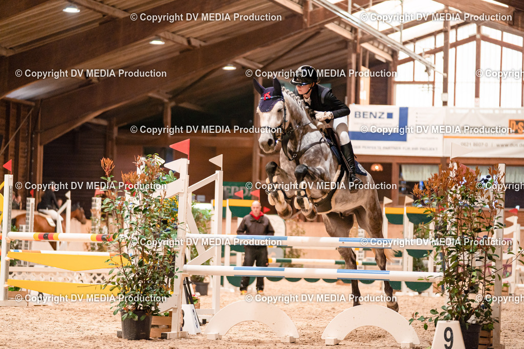 Springen Tag 3-058 | dv-media-shop - Realisiert mit Pictrs.com