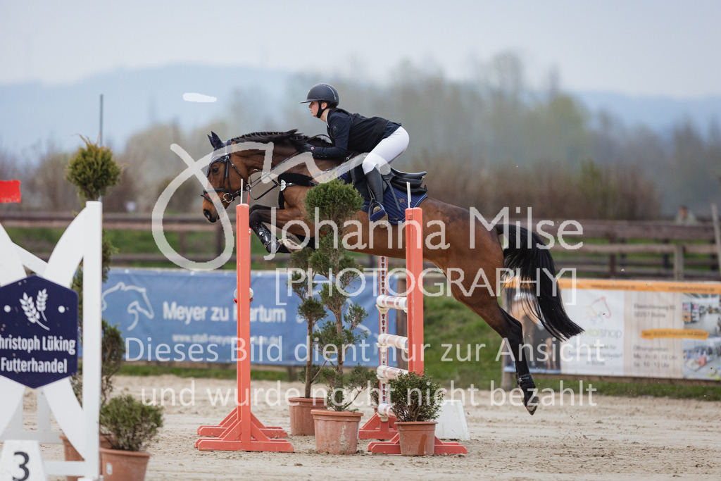 230408_Frühlingsfest_Stil-M-912 | Deine schönsten Turniermomente als professionelle Fotos! Entdecke hochwertige Pferdesport-Fotografie im Online-Shop. Jetzt Fotos finden & bestellen!