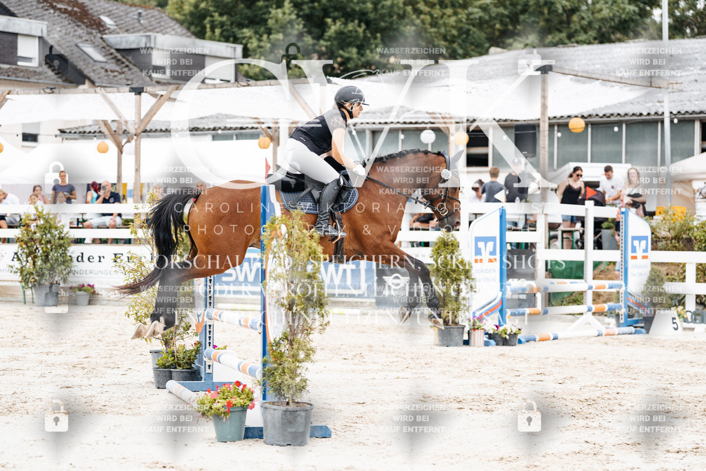 CK908303 | Turnierfotografie Pferdefotografie Trier Rheinland-Pfalz Pferdesport Reitsport Tierfotografie Sportfotografie Pferdevideo Pferdevideografie Equestrianvideography equestrianphotography  - Realisiert mit Pictrs.com