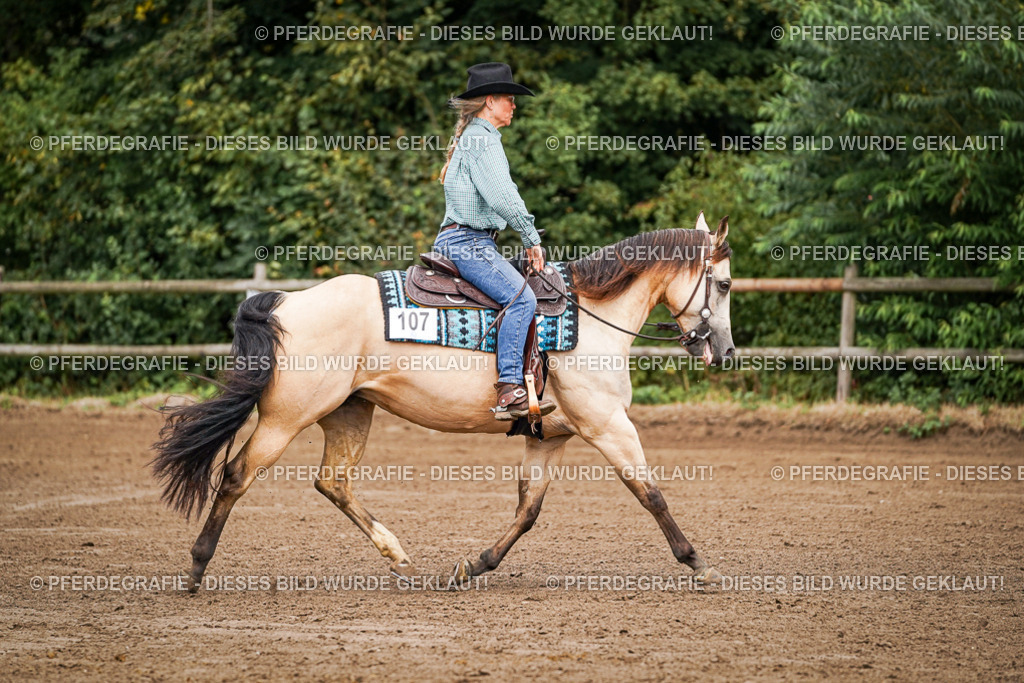 DSC06239 | Pferdegrafie