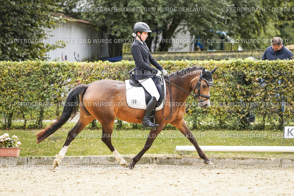 DSC01061 | Pferdegrafie