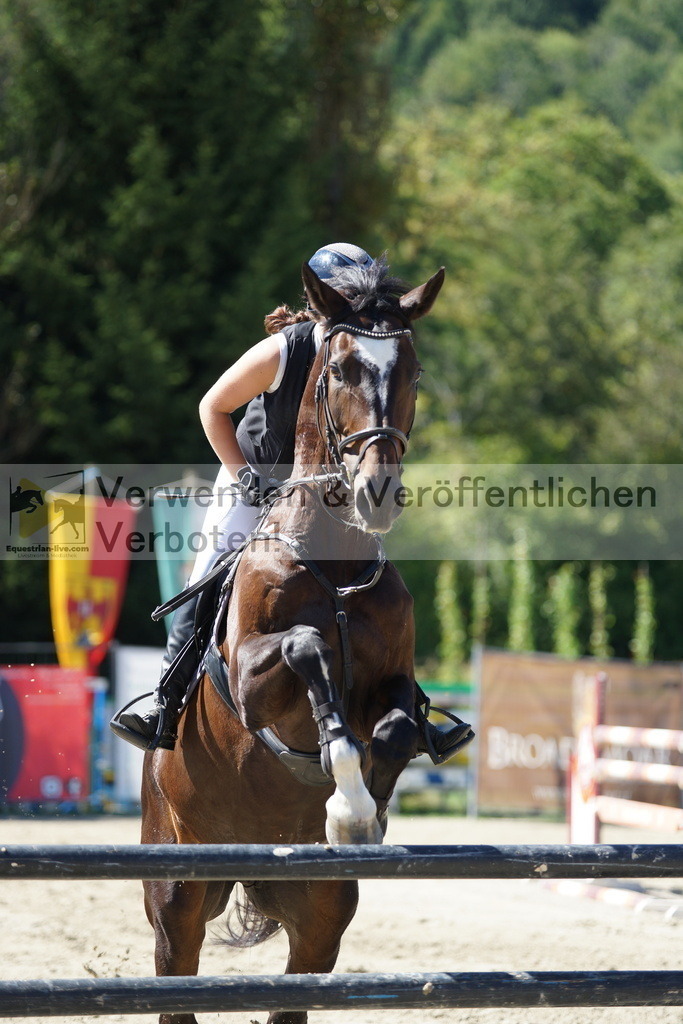 DSC08895 | equestrian-live-com