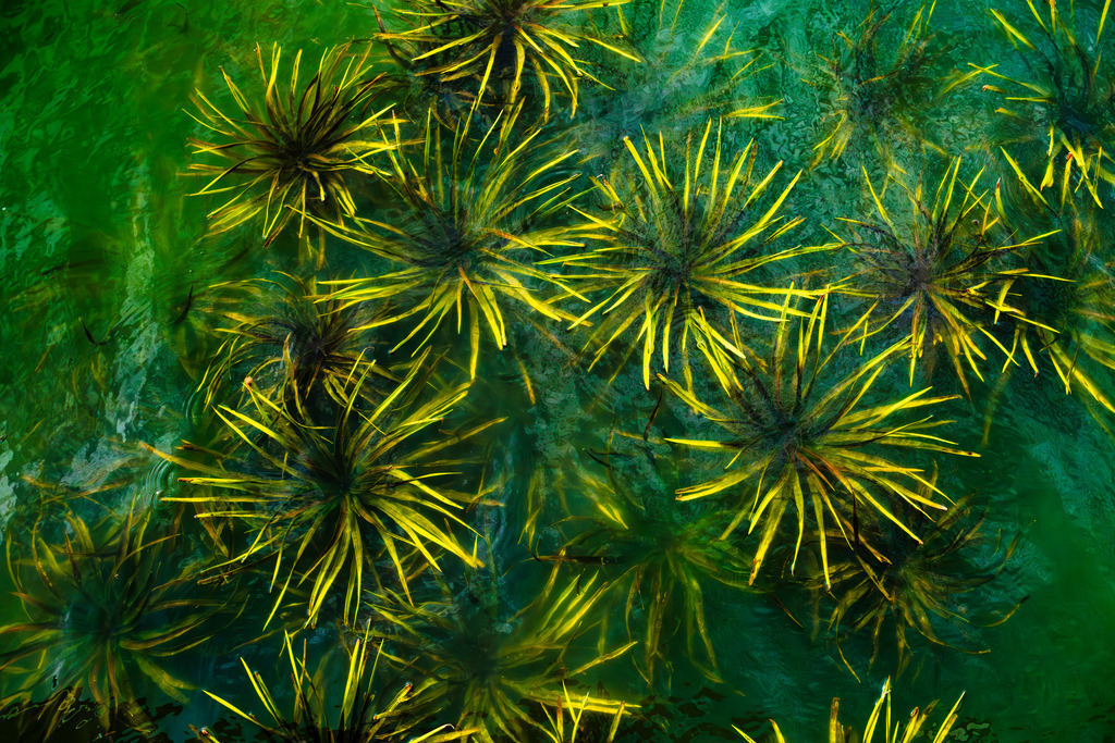 2025_09_20_SH-HEMMELSDORFER SEE+SCHARBEUTZ_MCP2733 | Hochwertig gedruckte Fotografien für die Wand, als Kalender und zum Verschenken. Hamburg & Norddeutschland und überall wo ich mit der Kamera unterwegs war.